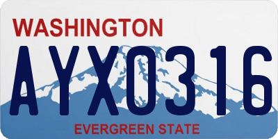 WA license plate AYX0316