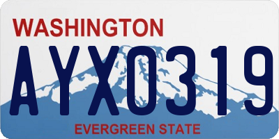 WA license plate AYX0319