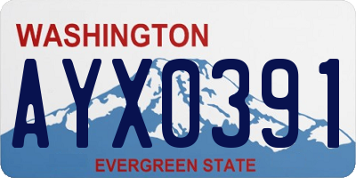 WA license plate AYX0391