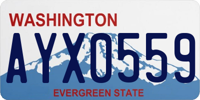 WA license plate AYX0559