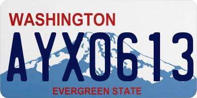 WA license plate AYX0613