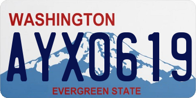 WA license plate AYX0619