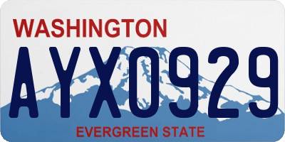 WA license plate AYX0929