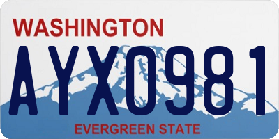 WA license plate AYX0981