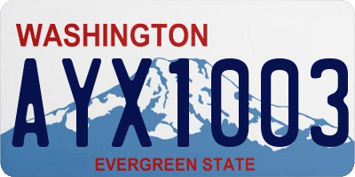 WA license plate AYX1003