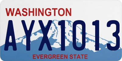 WA license plate AYX1013