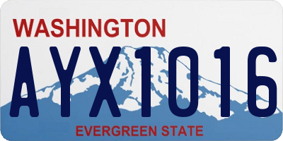 WA license plate AYX1016