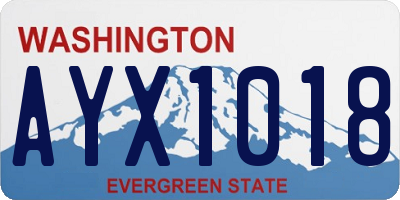 WA license plate AYX1018