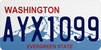 WA license plate AYX1099