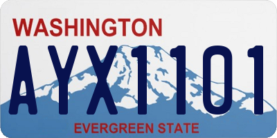 WA license plate AYX1101