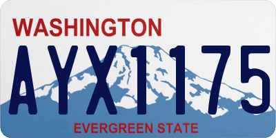 WA license plate AYX1175