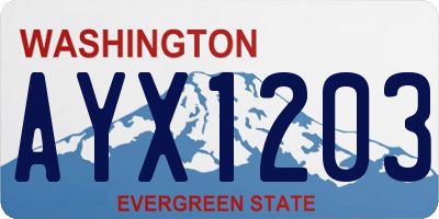 WA license plate AYX1203