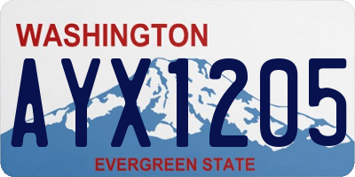 WA license plate AYX1205