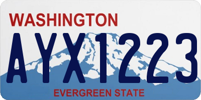 WA license plate AYX1223