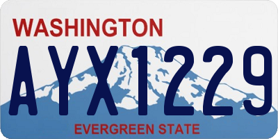 WA license plate AYX1229