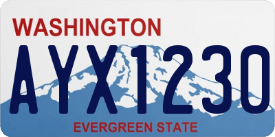 WA license plate AYX1230