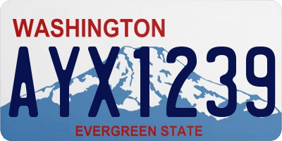 WA license plate AYX1239