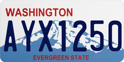 WA license plate AYX1250