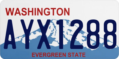 WA license plate AYX1288