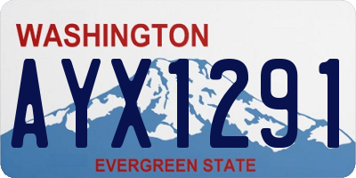 WA license plate AYX1291