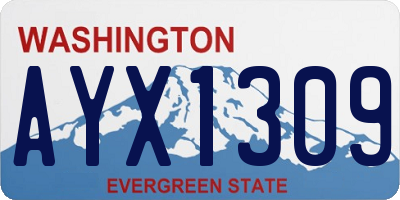 WA license plate AYX1309