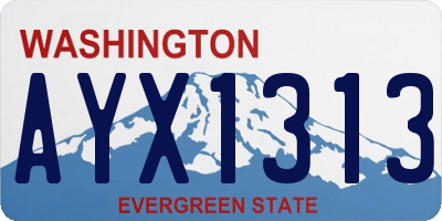 WA license plate AYX1313