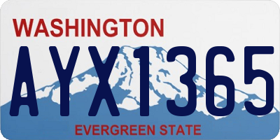 WA license plate AYX1365