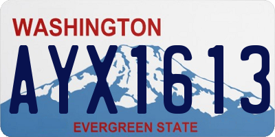 WA license plate AYX1613