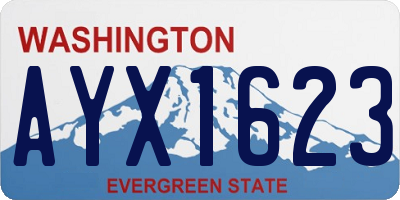 WA license plate AYX1623