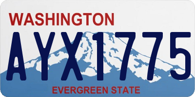 WA license plate AYX1775