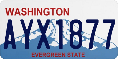 WA license plate AYX1877