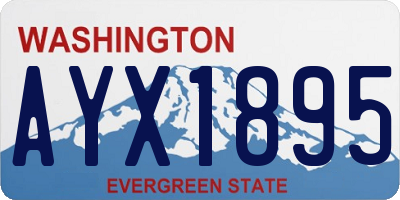 WA license plate AYX1895