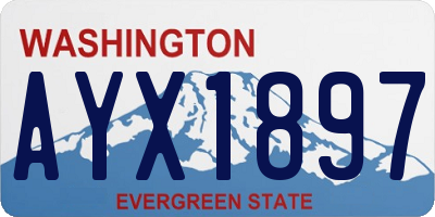 WA license plate AYX1897