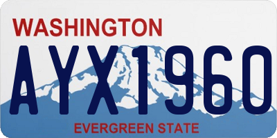 WA license plate AYX1960