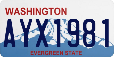 WA license plate AYX1981