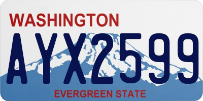 WA license plate AYX2599