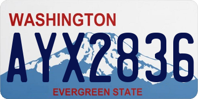 WA license plate AYX2836