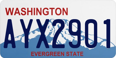 WA license plate AYX2901