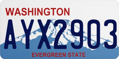 WA license plate AYX2903