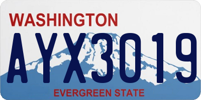 WA license plate AYX3019