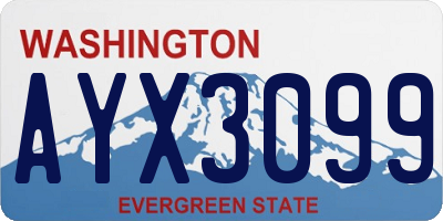 WA license plate AYX3099