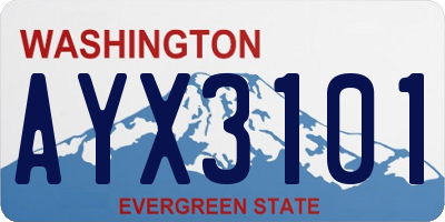 WA license plate AYX3101