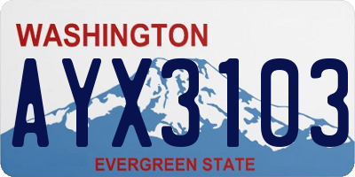 WA license plate AYX3103