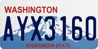 WA license plate AYX3160