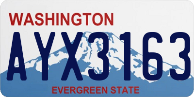 WA license plate AYX3163