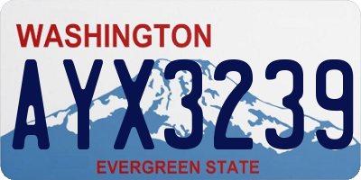 WA license plate AYX3239