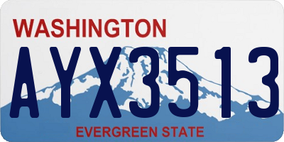 WA license plate AYX3513