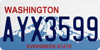 WA license plate AYX3599