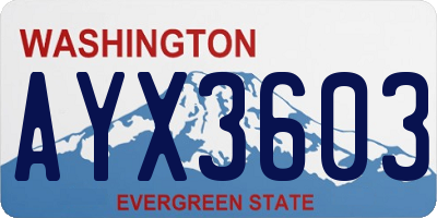 WA license plate AYX3603