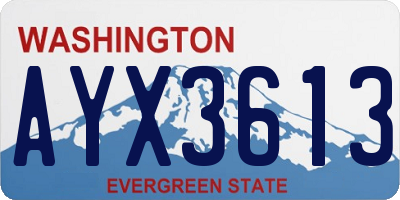 WA license plate AYX3613